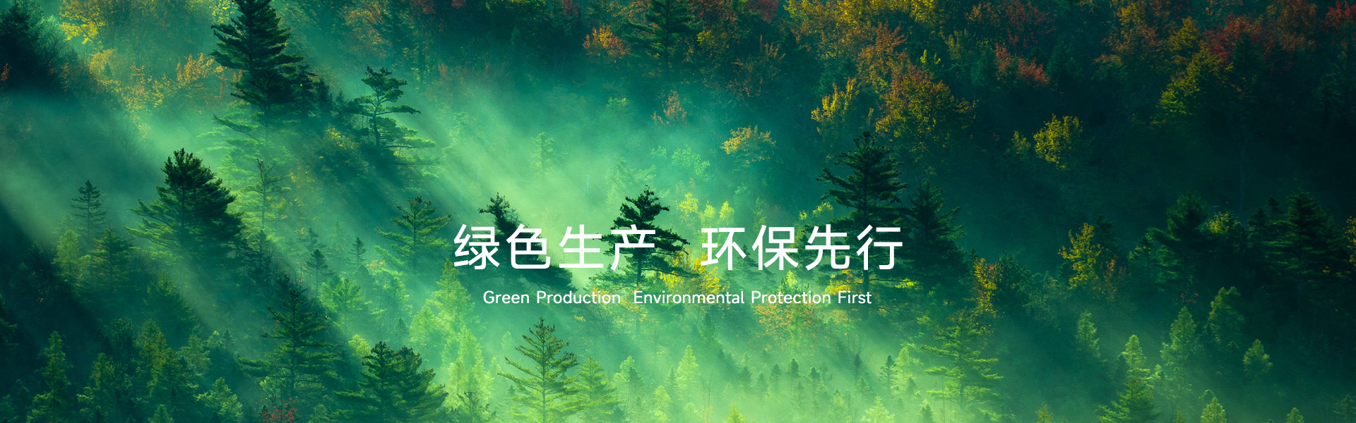 东正化工集团